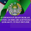 Logotipo do canal de telegrama qorakolyoshlarii - QORAKO'L YOSHLARI!