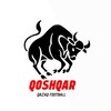 Telegram арнасының логотипі qoshqarkz — Qoshqar | Футбол жаңалықтары