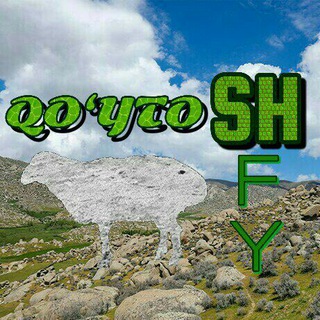 Telegram kanalining logotibi qoytoshshfy — QO‘YTOSH SHFY