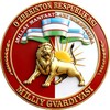 Telegram kanalining logotibi qrmilliygvardiya_official — QR MILLIY GVARDIYA