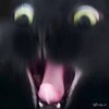 Логотип телеграм канала @qtfuchssuneqtf — 👾QУТЯО