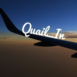 Логотип телеграм канала @quail_in — Quail_In...