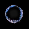 Логотип телеграм канала @quantumtechminds — Квантовый Дип