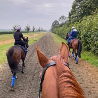 Logo of telegram channel quantumtipping — Quantum Tipping FREE💎