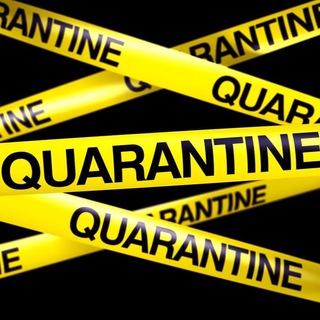 Логотип телеграм канала @quarantinelive — КАРАНТИН.LIVE