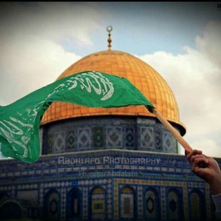 لوگوی کانال تلگرام qudscapitalofpalistine — نفُحٍآت قٌدِسية وُقٌسآمية جٰهٰاٰدٰيٰةً 𓂆🇵🇸