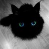 Логотип телеграм канала @queermeow — котик мятик | небинарность, ароэйс, нейроотличия, инвалидности