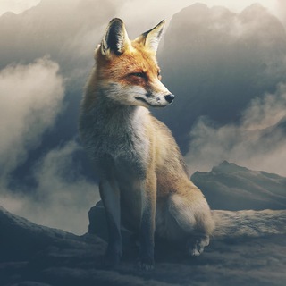 Логотип телеграм канала @quetiapine_fox — Кветиапин и скрипка лиса