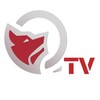 Logo of telegram channel quiradiolondratv — Q Tv official 3.0 - Qui radio londra Tv NEWS h24