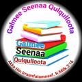 Logo saluran telegram qulqulloota — Galmee Seenaa Qulqulloota!