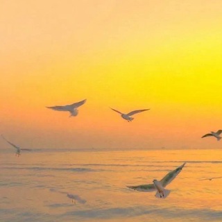 Telegram арнасының логотипі qunfa1698 — 全球短信 ws群发