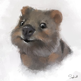 Логотип телеграм канала @quokkastranslates — Переводы Квокки