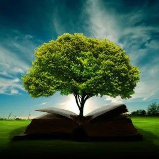 Логотип телеграм канала @quoteandmind — Мысли. Цитаты. Афоризмы.