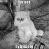 Логотип телеграм канала @quotes_fikl_2025 — Цитаты фикликих'25