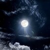 شعار قناة تلجرام qur_an17 — سُورة البقرة كل يوم❤️.