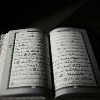 لوگوی کانال تلگرام qura_nll — سُقيا لروحك 📼.