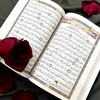 Логотип телеграм канала @quran_bookss — Книги по Корану и кораническим наукам