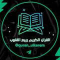 Logo saluran telegram quran_ulkarem — القرآن الكريم