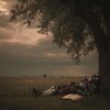 Логотип телеграм канала @quranreels2 — 𝚀𝚞𝚛𝚊𝚗 𝚁𝚎𝚎𝚕𝚜