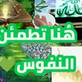 Telegram channel 🌙هُنـا تطمئن النفوس🌼 logo