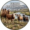 Telegram kanalining logotibi qurbonlik_ilmi_kursi — БEПУЛ ҚУРБОНЛИК КУРСИ