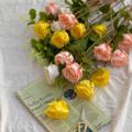 Logo saluran telegram qurnafl — قُرنفُلــ🌼ـــــةة💛