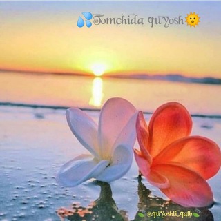 Telegram kanalining logotibi quyoshli_qalb — 💦Tomchida quyosh🌞🍃