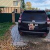 Логотип телеграм канала @qvercbabu — Qvercbaby