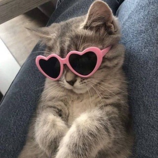 Логотип телеграм канала @qwandakt — дом z