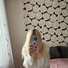 Логотип телеграм канала @qwekatess — катейс