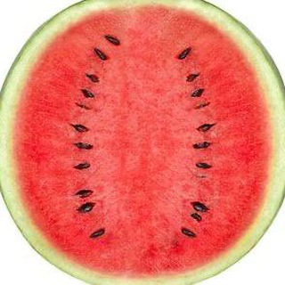 Логотип телеграм канала @r_buz — Арбуз - сочные видео! 🍉