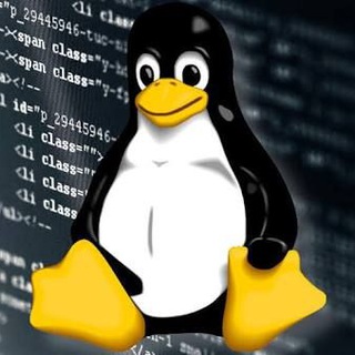 Logo of telegram channel r_linux — Linux - Reddit