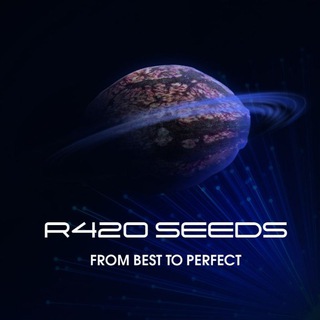 Логотип телеграм канала @r420seeds — R420 SEEDS (витрина)