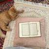 شعار قناة تلجرام r_o_q6 — حُب الله🦋.