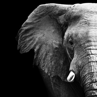 Логотип телеграм канала @ra_ja_ru — RA-JA | Цитаты