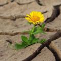 لوگوی کانال تلگرام ra7e8 — HOPE✨.