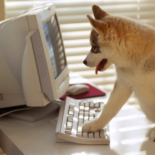 Логотип телеграм канала @rabotatlegalno — Работа на дому без вложений фриланс без взноса