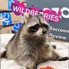Логотип телеграм канала @raccoonreview — Raccoon Review (вкусности с OZON/Wildberries)