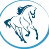 Логотип телеграм канала @raceelectrosteeds — Гонка Электронных Лошадей
