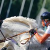 Логотип телеграм канала @races_sport — Конный магазин Технология спорта