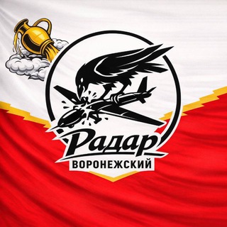 Логотип телеграм канала @radar_voron — Радар Воронежский