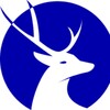 Logo of telegram channel radarlive288 — DEER FINANCE™ Trader's Choice