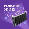 Telegram channel Радиатор жив! | Подкаст о визуальных новеллах logo