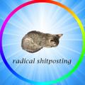 Logo of telegram channel radicalshitposting — Really cool memes actually