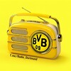 لوگوی کانال تلگرام radio_dortmund — رادیو دورتموند | Radio Dortmund