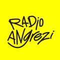 Logo saluran telegram radioangrezi — Radio Angrezi Live