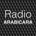 Logo saluran telegram radioarabicara — Radio Arabicara