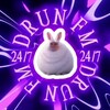 Логотип телеграм канала @radiodrunfm — Друн FM