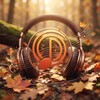 Логотип телеграм канала @radiokartina — Radiokartina 🔊