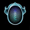 Логотип телеграм канала @radiologyass — Radiology Pro 🎓 Channel Рентгенология